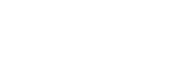 VYBEL