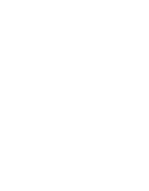 VYBEL